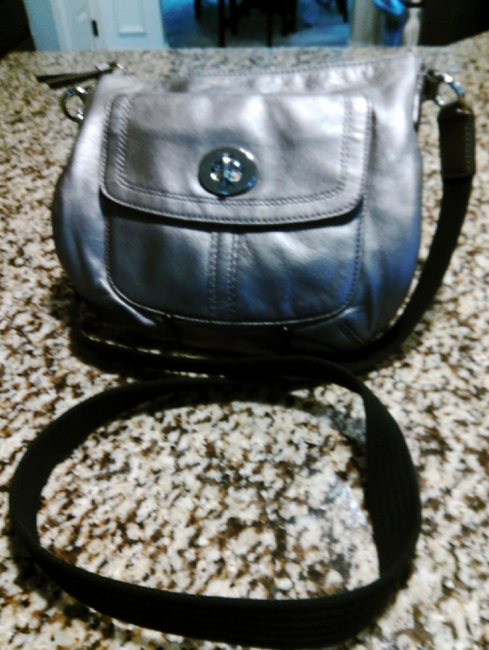 Leather Crossbody Bag in Metallic Gray With Kiss Lock Soft Italian Leather